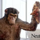 Illustration for article titled New Neutrogena Deep Cleanse Just 130-Pound Chimp That Rips Your Face Off